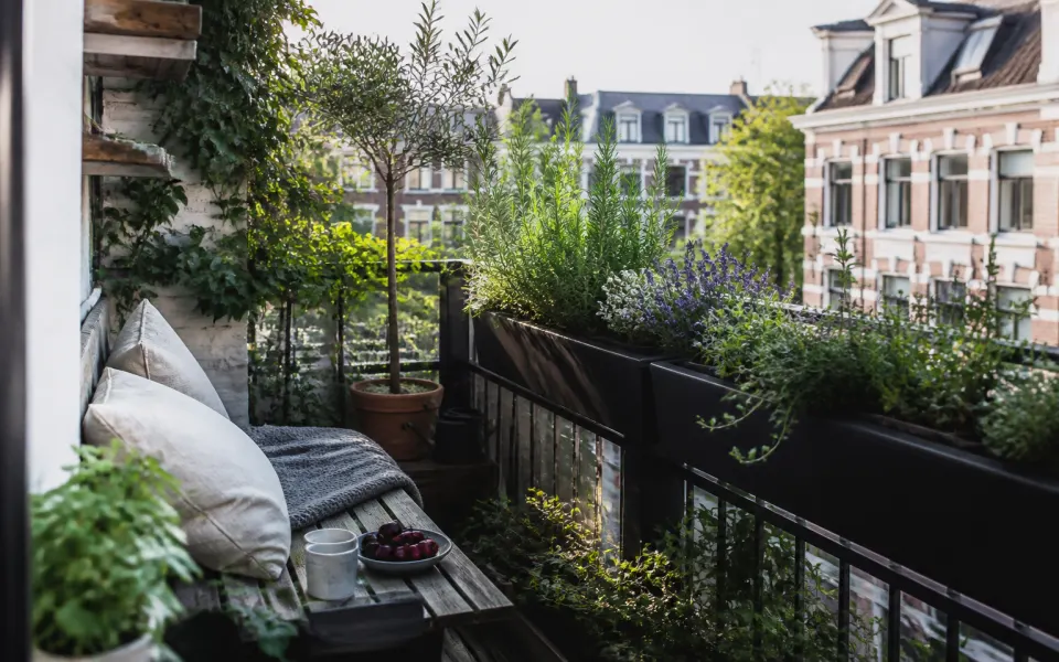 Balkon en tuin: seizoensgids voor onderhoud
